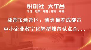 成都市新都區(qū)：遴選推薦成都市中小企業(yè)數(shù)字化轉型城市試點企業(yè)遴選條件獎補政策
