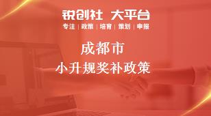 成都市小升規(guī)相關(guān)配套獎補(bǔ)政策