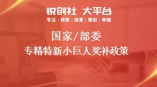 國家/部委專精特新小巨人獎補(bǔ)政策