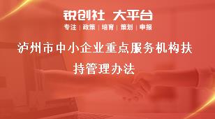 瀘州市中小企業(yè)重點(diǎn)服務(wù)機(jī)構(gòu)扶持管理辦法獎(jiǎng)補(bǔ)政策
