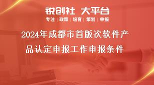 2024年成都市首版次軟件產(chǎn)品認定申報工作申報條件獎補政策