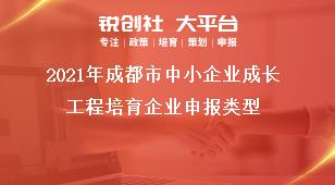 2021年成都市中小企業(yè)成長工程培育企業(yè)申報(bào)類型獎(jiǎng)補(bǔ)政策