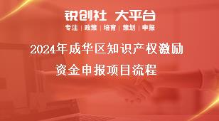 2024年成華區(qū)知識產權激勵資金申報項目流程獎補政策