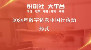 2024年數(shù)字適老中國行活動形式獎(jiǎng)補(bǔ)政策