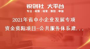 2021年省中小企業(yè)發(fā)展專項資金資陽項目-公共服務(wù)體系建設(shè)支持范圍獎補(bǔ)政策
