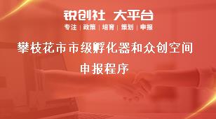攀枝花市市級孵化器和眾創(chuàng)空間申報程序獎補政策