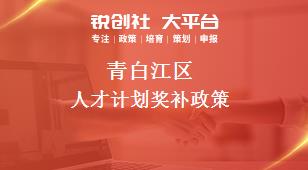 青白江區(qū)人才計劃相關(guān)配套獎補政策