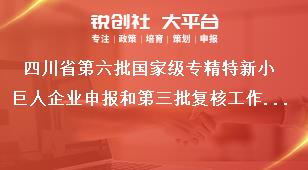 四川省第六批國家級專精特新小巨人企業(yè)申報和第三批復核工作有關(guān)要求獎補政策