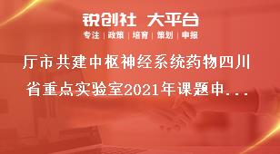 廳市共建中樞神經(jīng)系統(tǒng)藥物四川省重點(diǎn)實(shí)驗(yàn)室2021年課題申請方向及研究內(nèi)容獎補(bǔ)政策