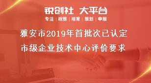 雅安市2019年首批次已認定市級企業技術中心評價要求獎補政策