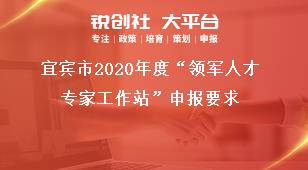 宜賓市2020年度“領(lǐng)軍人才專家工作站”申報(bào)要求獎補(bǔ)政策
