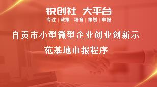 自貢市小型微型企業(yè)創(chuàng)業(yè)創(chuàng)新示范基地申報(bào)程序獎(jiǎng)補(bǔ)政策