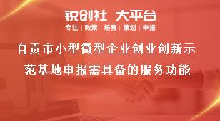 自貢市小型微型企業(yè)創(chuàng)業(yè)創(chuàng)新示范基地申報(bào)需具備的服務(wù)功能獎補(bǔ)政策