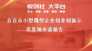 自貢市小型微型企業創業創新示范基地申請報告獎補政策